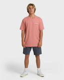 Billabong Men's Tailgating Ash Rose Premium Tshirt