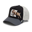 Goorin Bros Migration Banger Snapback Hat