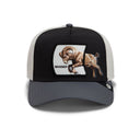 Goorin Bros Migration Banger Snapback Hat