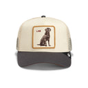 Goorin Bros Shadow Lab Snapback Hat