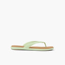Reef Ladies Water Willow Malibu Ambrosia/Tan Sandal