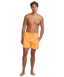 Billabong Mens Melon All Day Shorts