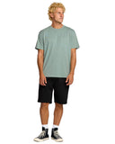 Billabong Mens Mason Blue Essential Premium SS Tshirt
